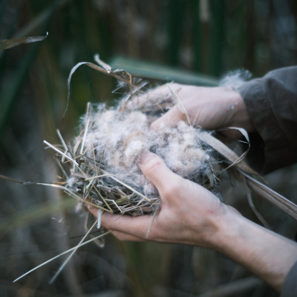 Tinder bundle Nature connection depth mentoring